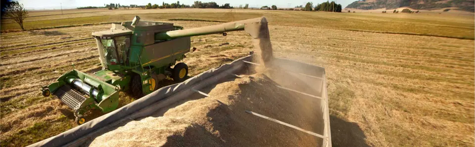 A combine unloading freshly harvested seed into a truck in a Willamette Valley field