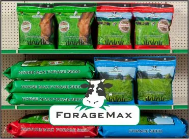 Forage Max forage and pasture seed bags on a store shelf