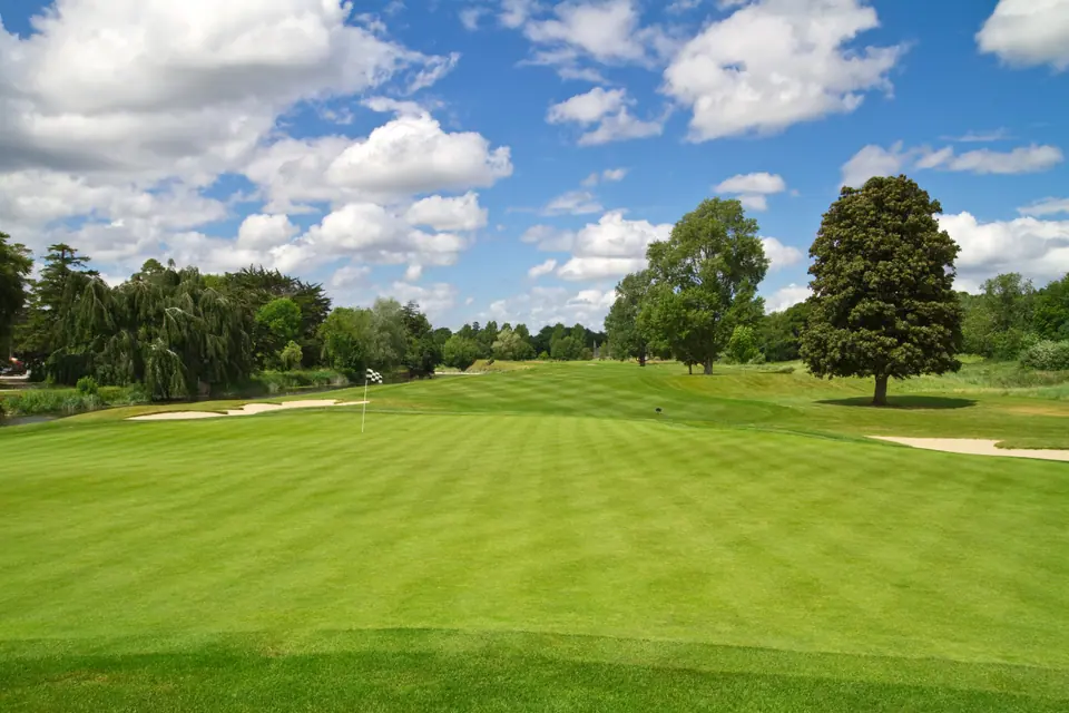 Highland Colonial Bentgrass: field photo